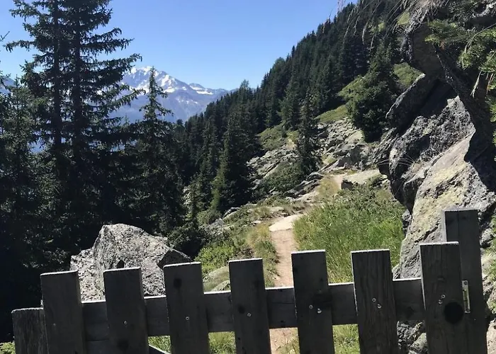 Almenrausch 1- Og Sued-ost By Interhome Appartement Riederalp