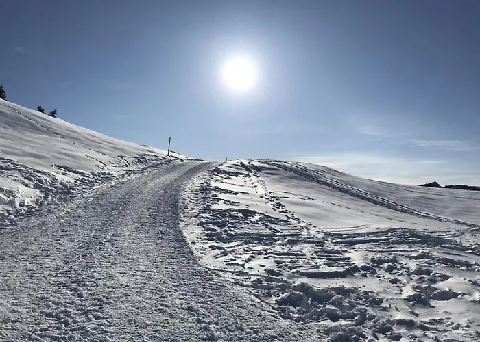 Almenrausch 1- Og Sued-ost By Interhome Appartement